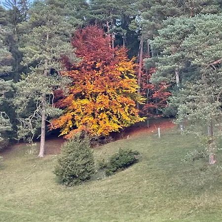 Apartment Aussicht, Monheimer Alb, Altmuehltal *