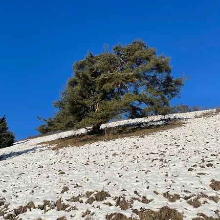 Aussicht, Monheimer Alb, Altmuehltal