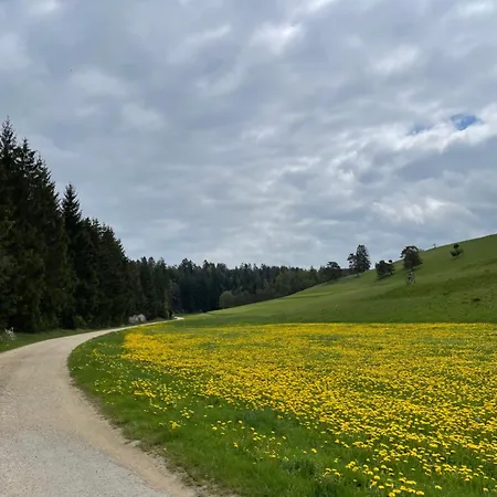 Aussicht, Monheimer Alb, Altmuehltal Apartment Roegling