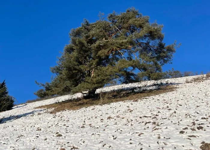 Aussicht, Monheimer Alb, Altmuehltal