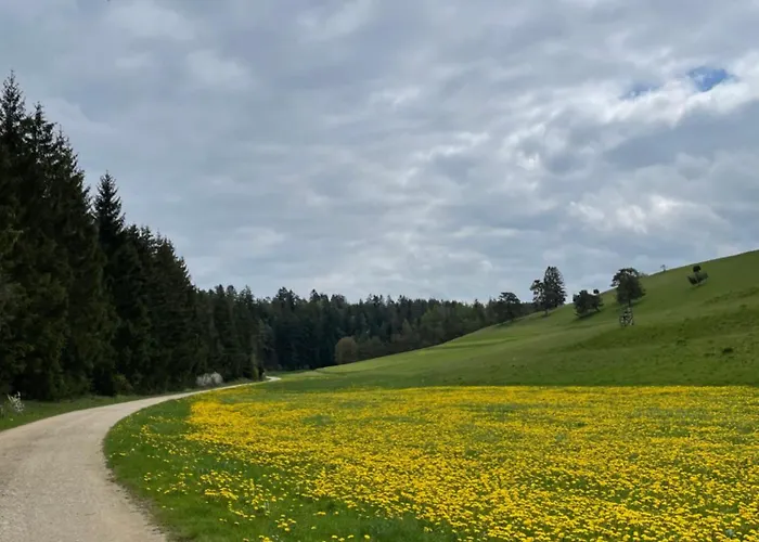 Aussicht, Monheimer Alb, Altmuehltal アパート Roegling